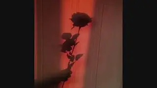 drevmr - eclipse