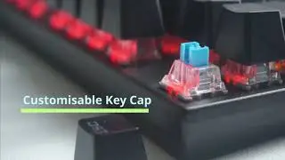 Mechanical Gaming RGB LED Backlit Keyboard