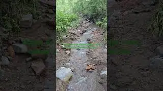 Bugun do'stiga xiyonat qilgan odam, ertaga dushmanining iti bo'ladi.