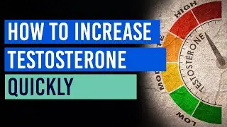 How to Increase Testosterone Quickly
