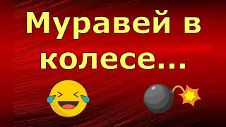 Лeна LIFE \ Лена и Ваня LIFE \ Муравей в колесе... \ Обзор влогов