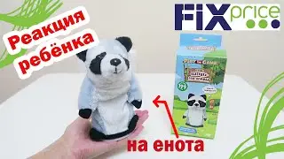 ФИКС ПРАЙС игрушка Болтушка - повторюшка Енот | Реакция ребенка на игрушку повторюшку из FIX PRICE