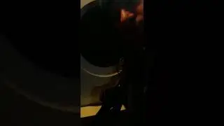 Сборы летят на войну коронавирусс