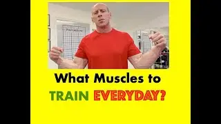 Strength Training | What Muscle Group to Train EVERYDAY for Arm Wrestling