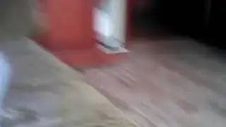 Короче делать нечего