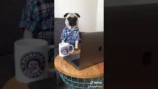 It’s time for Coffee - Viral TikTok Video