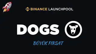 DOGS COİN BİNANCE'TA LİSTELENDİ! ALANLAR NE YAPMALI? NEREYE GİDECEK?