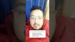 Can Showline German Shepherd Protect Their Owner?