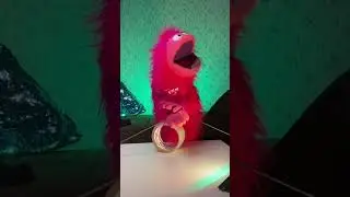 ВУРСИК И СКОТЧ😅 
