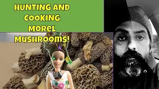 Morel Mushroom Hunting