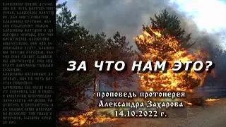 Проповедь от 14 октября 2022
