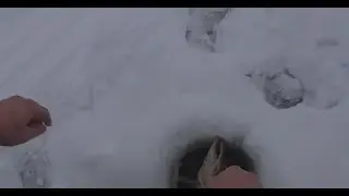 Ловля щуки и окуня зимой. Рыбалка на Можайском водохранилище.