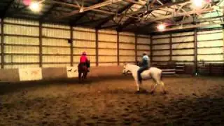 Horse Riding Lesson at J&B Connection
