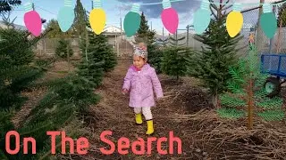 On the Search for the Perfect Christmas Tree