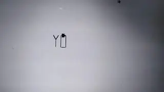 When the turtle write your name