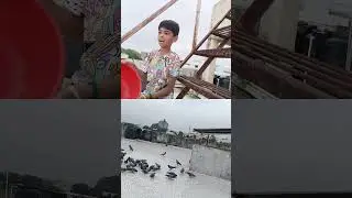 Jivdaya papa ne mummy ae sikhwadi karta 🙏🫶😘😍
