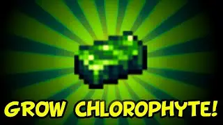 Terraria 1.4 How to Farm Chlorophyte [XBox, PS4, Switch, PC, Mobile]