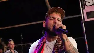 MADRID SALVAJE 2025 - EL PARDITO