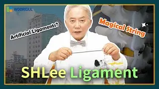 The 'Magical String' for Treating Spinal Stenosis! (SHLee ligament)