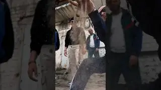 Помните эту популярную песню из нашего школьного детства?