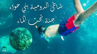 شاطئ الدومية جنة تحت الماء !! السباحة مع الاسماك