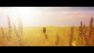 Helsinki-filmi / Optipari (2014)