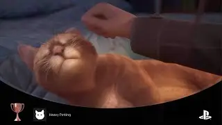 Life is Strange: Double Exposure Stroking a cat