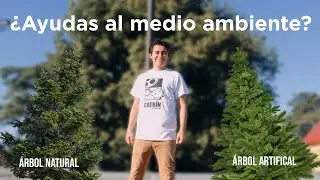 ¿ÁRBOL NATURAL O ÁRBOL ARTIFICIAL? | CÉSAR GALVEZ