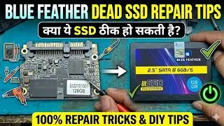 Blue Feather Dead SSD Repair Tips 