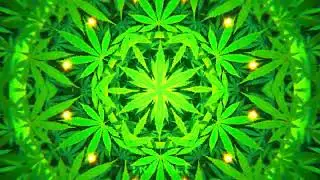 420 Degrees of Weed Kaleidoscope Artwork ✨🥦 Das Hanf ist frei Gras Cannabis ✨ Weedmob Legalization