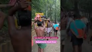 Sabarimalai Dooli #ayyappa_devotional #waytosabarimala #sabarimala #religion #travel