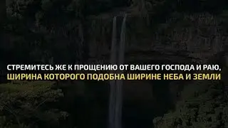 Мухаммад Люхайдан | Сура 57 Аль-Хадид | Красивое чтение Корана