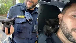 Police Officer Rescues An Unexpected Passenger Stuck In A Jeep Engine