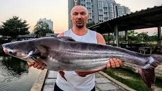 Ночная рыбалка на сома. Сомы по 40 кг или как мы с женой рыбачили в Jomtien Fishing Park в Паттайе.