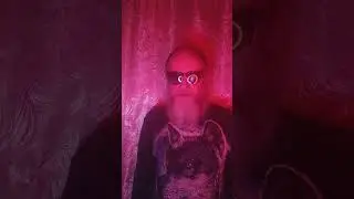 Кружковцы