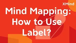 How to Use Label in XMind? (simple notes, categorizing & filtering info) | Feature Introduction