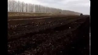 Бизон