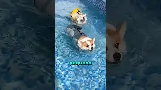 Uno Caminaba Y El Otro Ya Nadaba 😳❄️