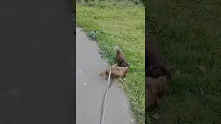 Последние денёчки августа