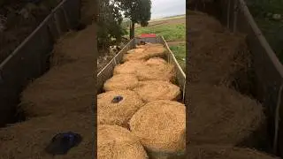 Погрузка 🍉🍉🍉