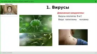 Стоп онкология Внутренние факторы