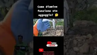 La mia prima volta alle prese con uno 