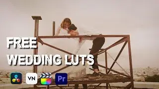 Free Minimal Brown Luts  | Wedding Luts 2 | How To Use Luts In Premiere Pro.