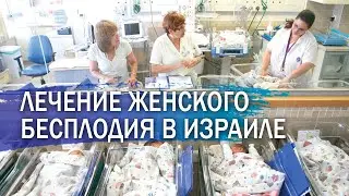 Лечение женского бесплодия в Израиле. ЭКО.