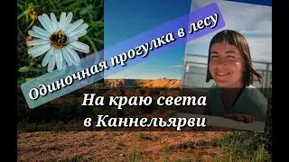На краю света в Каннельярви. Однодневная соло поездка в лес.
