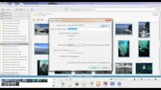 How to Convert RAW Photos to JPEG Files with Picasa