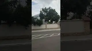 Церковь св. Думитру. Утро. Орхей.