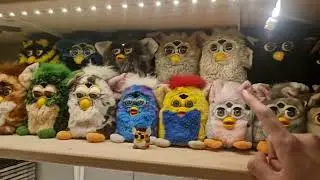 Furb6