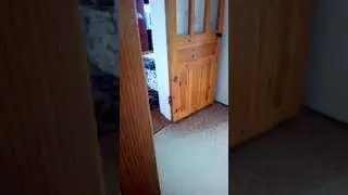 Народный ансамбль,в исполнении моей пьяной бабули