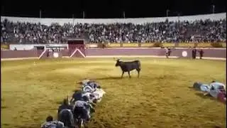 Danger Game
